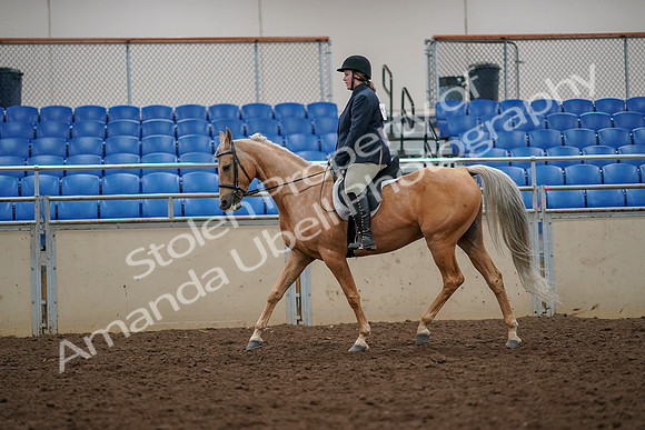 2019 Morgan Horse Show - Aug 30, 2019 - 22292