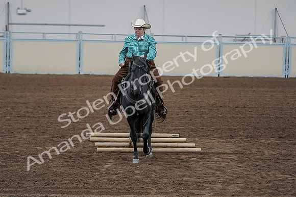 2020 - AB Morgan Horse - Fri, Sept 04 - 00522