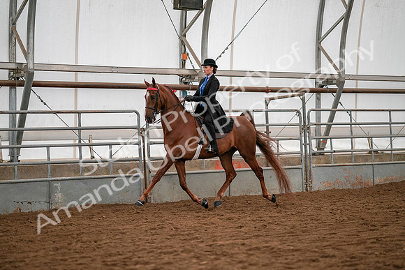 July 19, 2019 - 10451