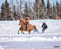 Skijordue - 8639
