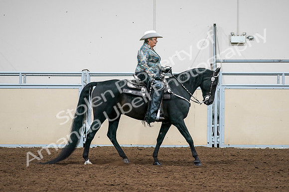 2020 - AB Morgan Horse - Fri, Sept 04 - 03538