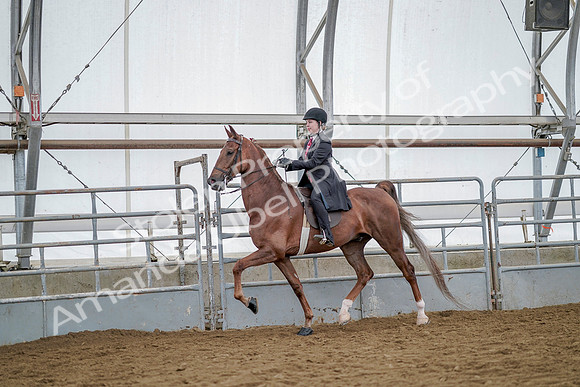 July 20, 2019 - 14603