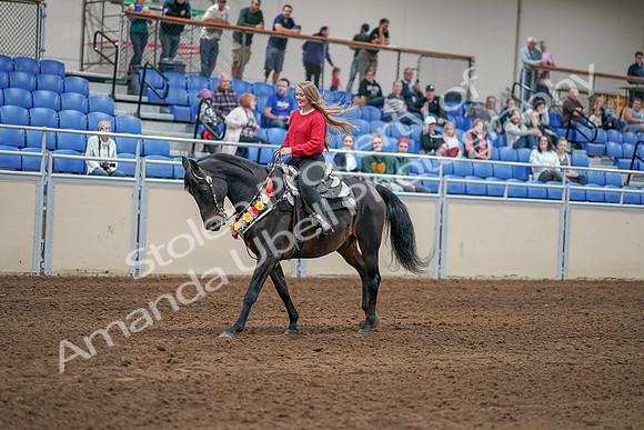 2020 - AB Morgan Horse - Sat, Sept 05 - 10457