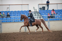 2019 Morgan Horse Show - Aug 31, 2019 - 12188