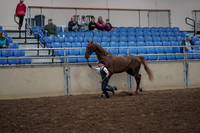 2019 Morgan Horse Show - Aug 31, 2019 - 02582
