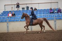 2019 Morgan Horse Show - Aug 30, 2019 - 26780