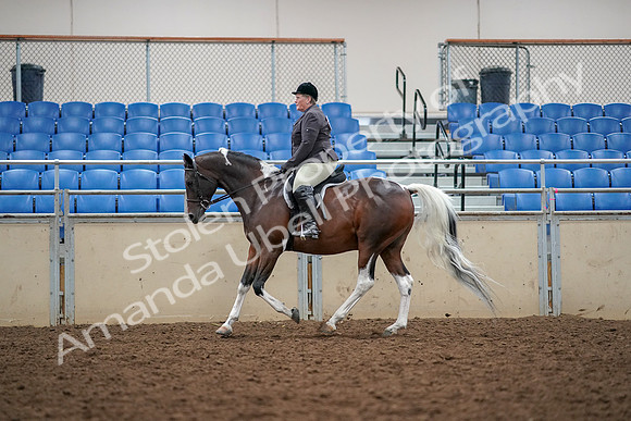 2019 Morgan Horse Show - Aug 30, 2019 - 22336
