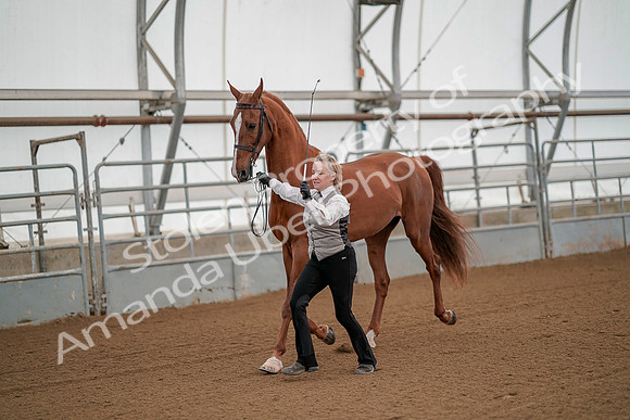 July 19, 2019 - 82
