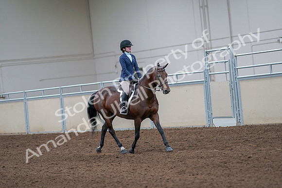 2020 - AB Morgan Horse - Fri, Sept 04 - 06060
