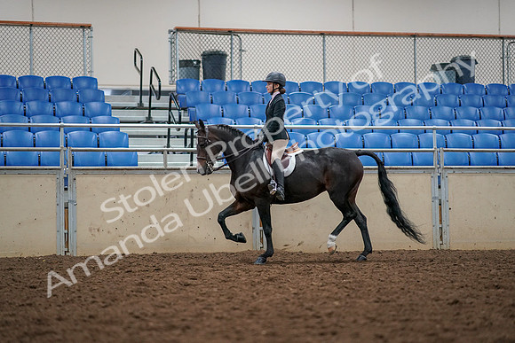 2019 Morgan Horse Show - Aug 30, 2019 - 23302