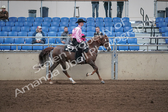 2019 Morgan Horse Show - Sept 01, 2019 - 07059