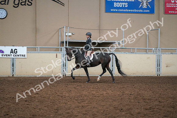 2019 Morgan Horse Show - Aug 30, 2019 - 12199