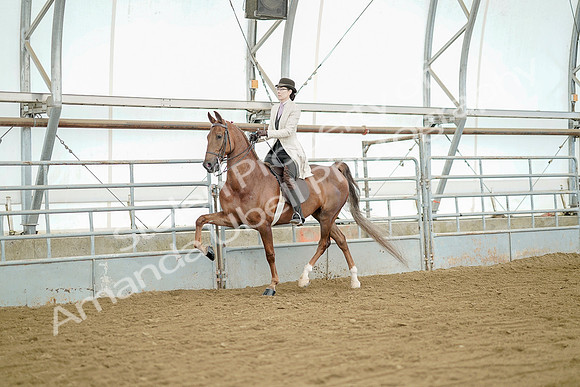 July 20, 2019 - 07828