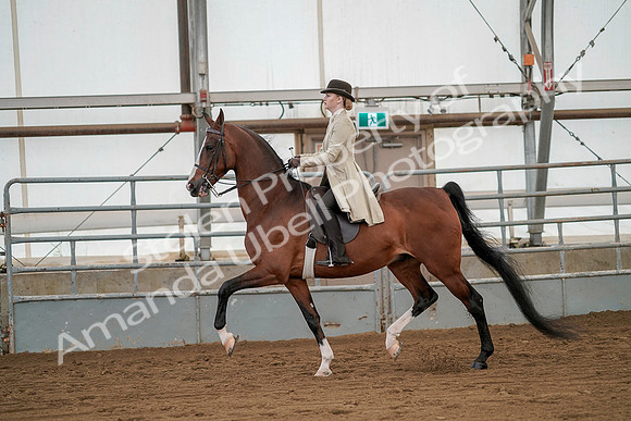 July 20, 2019 - 02077