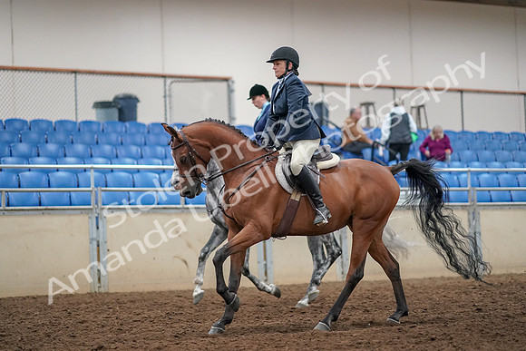 2019 Morgan Horse Show - Aug 30, 2019 - 22452