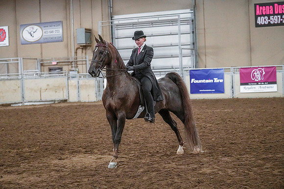 Spring Fling - Saturday - April 20, 2019  -  03638