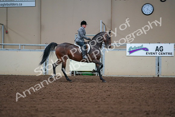2019 Morgan Horse Show - Aug 30, 2019 - 20944