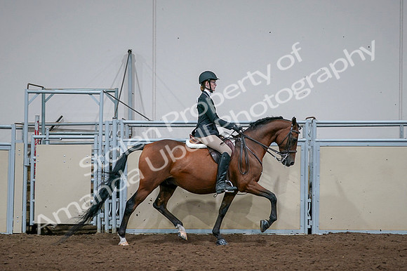 2020 - AB Morgan Horse - Fri, Sept 04 - 06022
