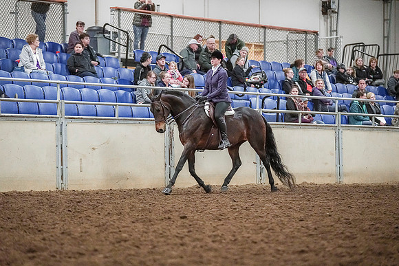 Spring Fling - Saturday - April 20, 2019  -  03750