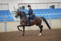 2019 Morgan Horse Show - Aug 30, 2019 - 24294