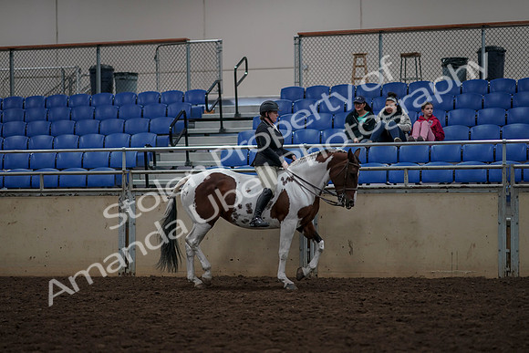 2019 Morgan Horse Show - Aug 30, 2019 - 31401