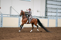 2020 - AB Morgan Horse - Sat, Sept 05 - 12090