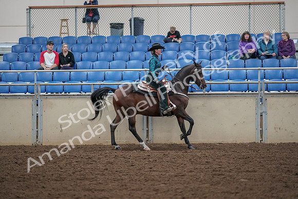 2019 Morgan Horse Show - Aug 30, 2019 - 26185