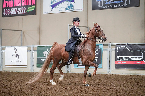 Spring Fling - Saturday - April 20, 2019  -  04196