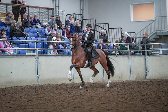 Spring Fling - Saturday - April 20, 2019  -  00700