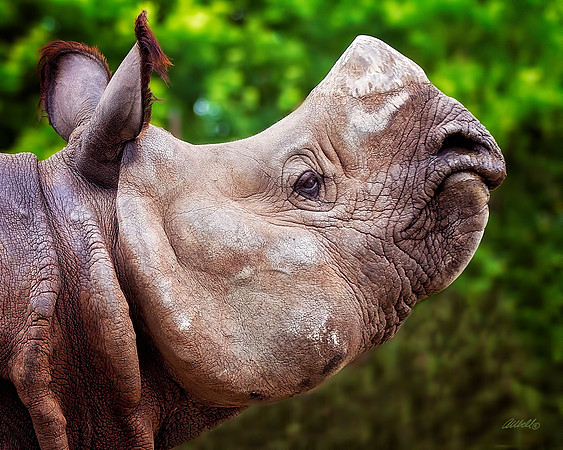 Zoo - 034