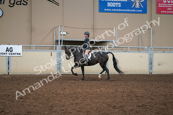 2019 Morgan Horse Show - Aug 30, 2019 - 12198