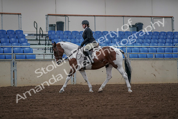 2019 Morgan Horse Show - Aug 30, 2019 - 14917
