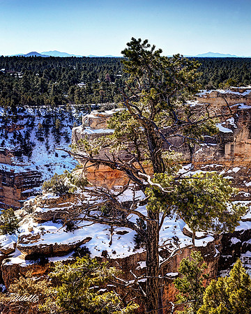 Landscapes - US - 029
