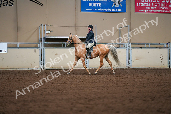 2019 Morgan Horse Show - Aug 30, 2019 - 16168