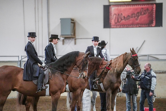 Spring Fling - Saturday - April 20, 2019  -  03956