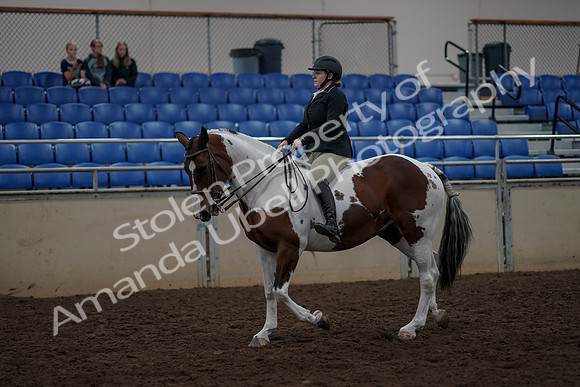 2019 Morgan Horse Show - Aug 30, 2019 - 31126