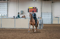 2020 - AB Morgan Horse - Sat, Sept 05 - 09361