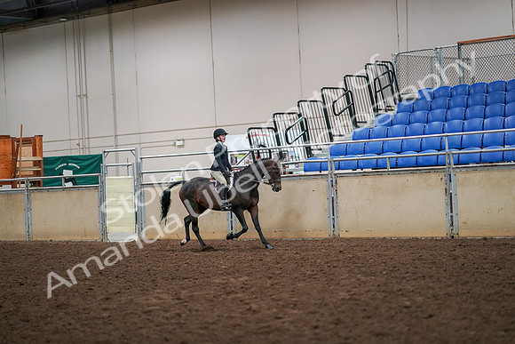 2019 Morgan Horse Show - Aug 30, 2019 - 12402