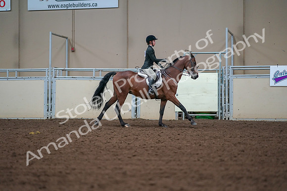 2019 Morgan Horse Show - Aug 30, 2019 - 21039