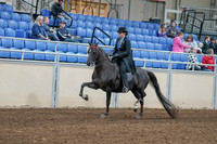 2020 - AB Morgan Horse - Sat, Sept 05 - 00814