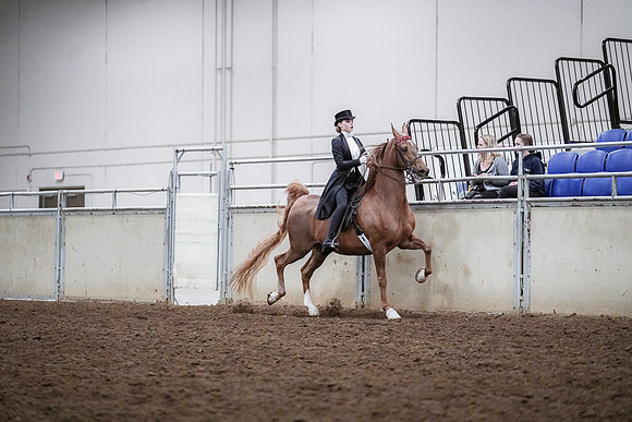 Spring Fling - Saturday - April 20, 2019  -  04329