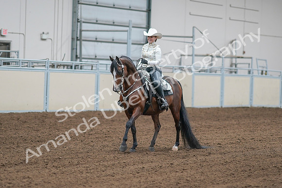 2020 - AB Morgan Horse - Sat, Sept 05 - 09007