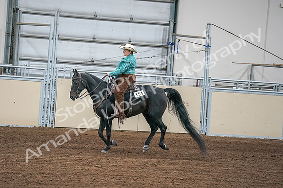 2020 - AB Morgan Horse - Fri, Sept 04 - 00592