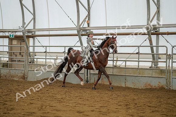 July 20, 2019 - 03795