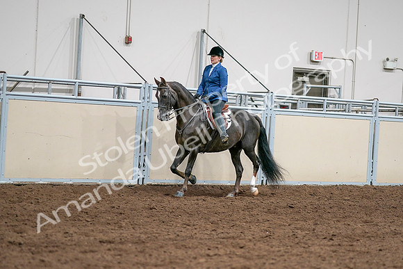 2020 - AB Morgan Horse - Sat, Sept 05 - 04986