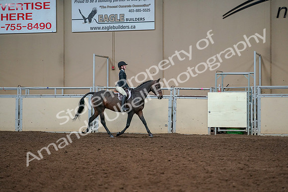 2019 Morgan Horse Show - Aug 30, 2019 - 12485