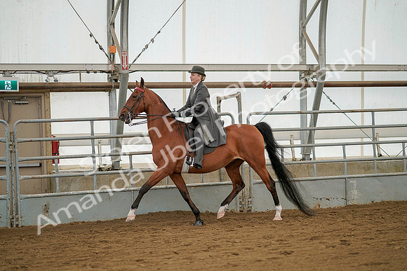 July 20, 2019 - 02306