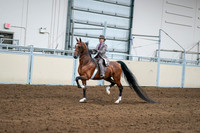 2020 - AB Morgan Horse - Sat, Sept 05 - 12081