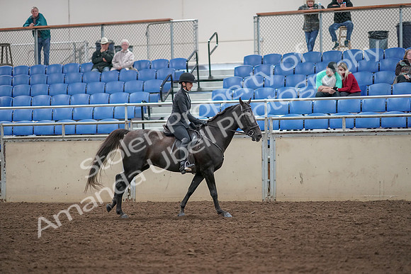 2019 Morgan Horse Show - Aug 31, 2019 - 07546