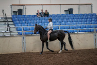 2019 Morgan Horse Show - Aug 30, 2019 - 31026